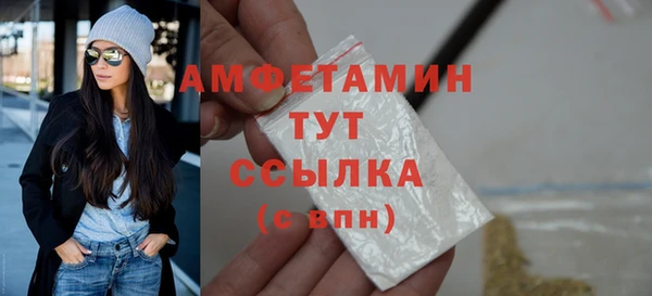 сатива Аркадак