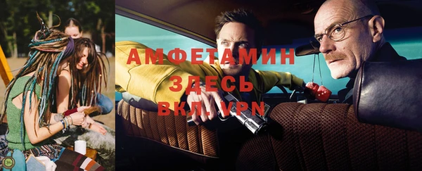сатива Аркадак