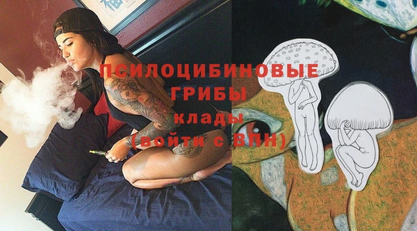 гидропоника Арсеньев