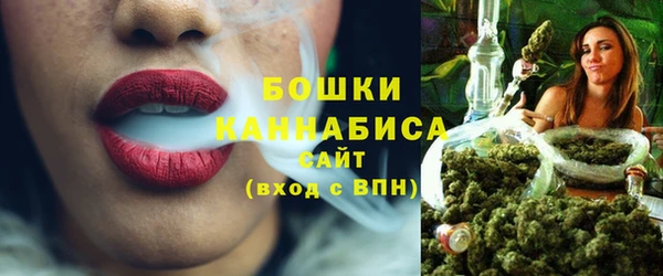 сатива Аркадак