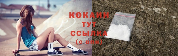 сатива Аркадак