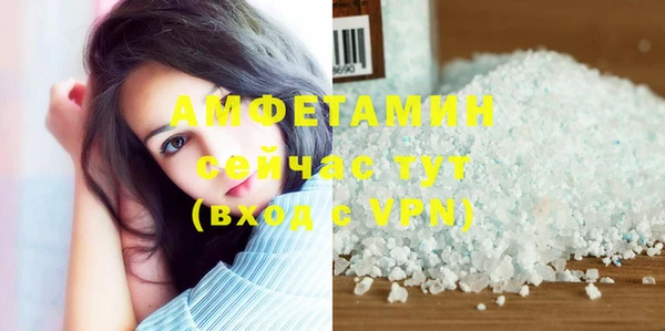 сатива Аркадак