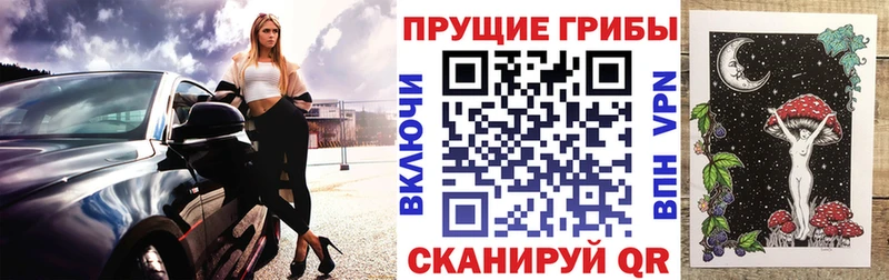 Купить где  Псков  Псилоцибиновые грибы GOLDEN TEACHER 